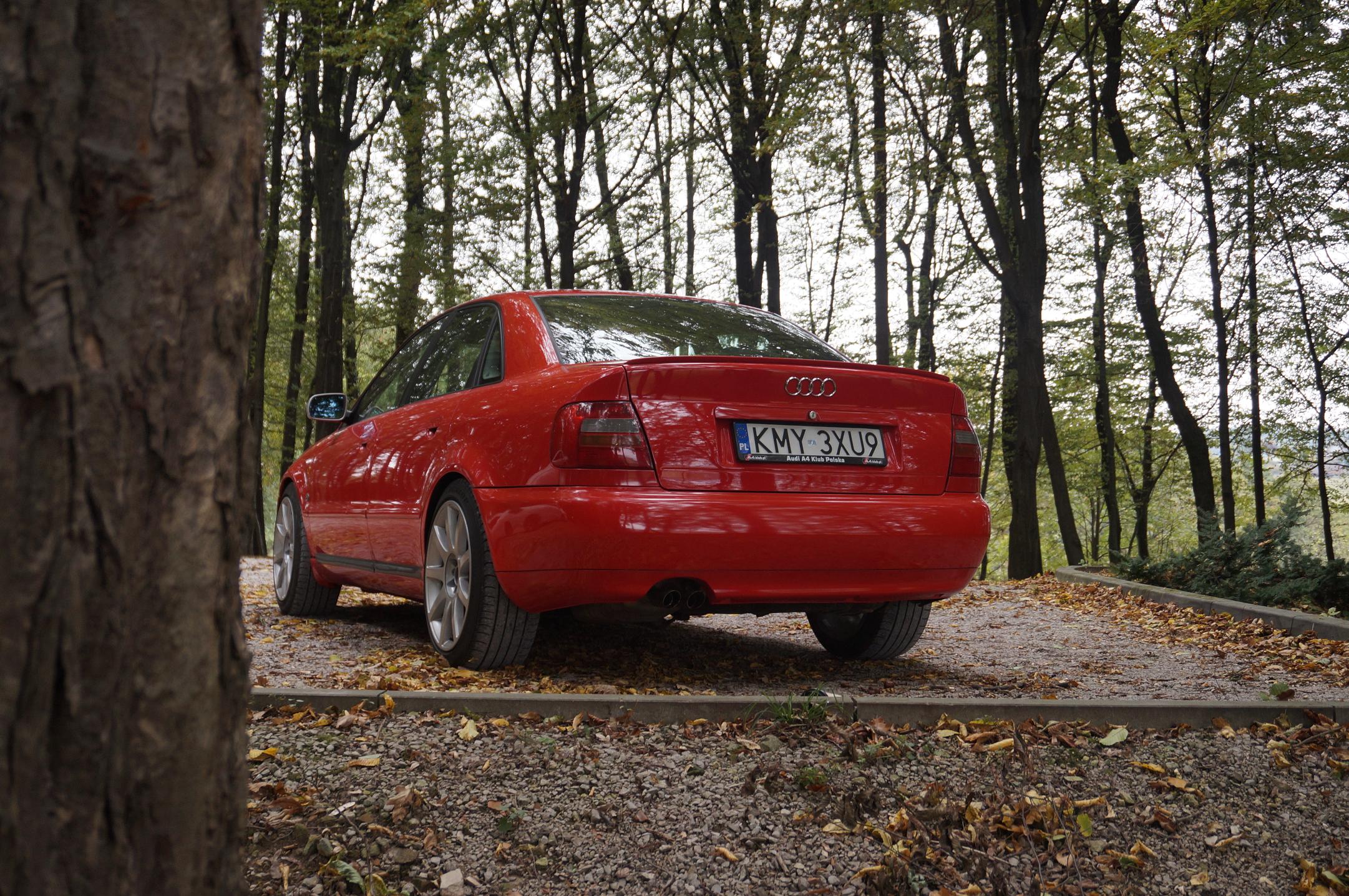 7tprt873.jpg