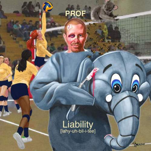 Prof - Liability (2015)
