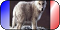 http://fs5.directupload.net/images/151020/temp/uvrpvr4o.png