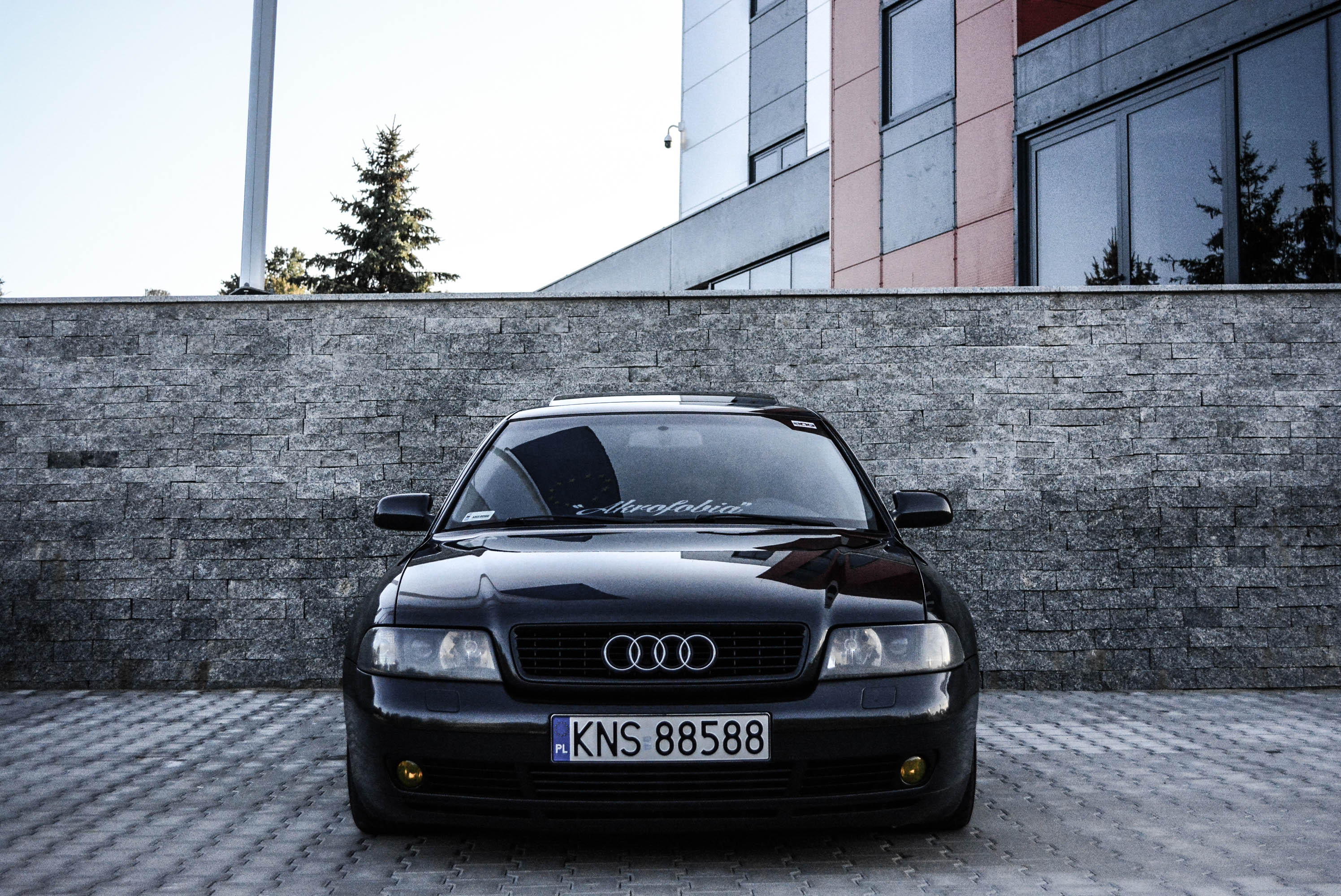 p6et8eb7.jpg