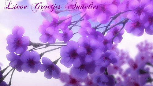 u8mumtt9.gif