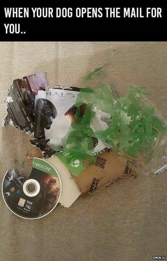 5ehwqhrn.jpg