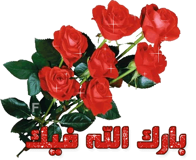 ljs7ebw6.gif