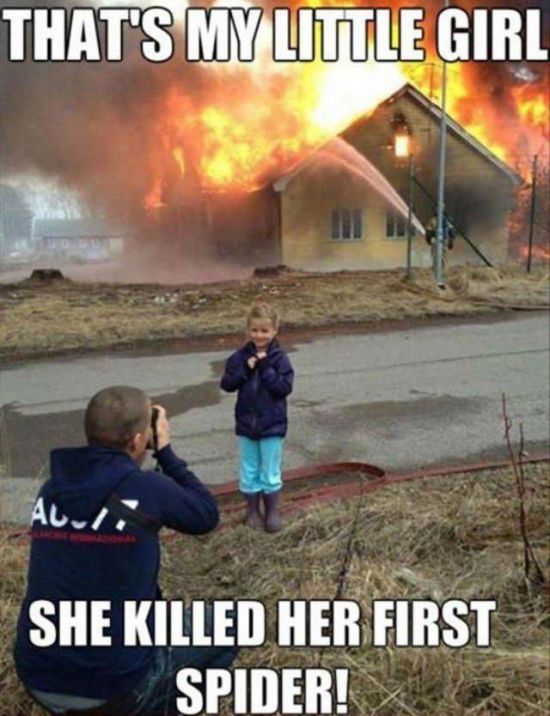 hdijmo2r.jpg