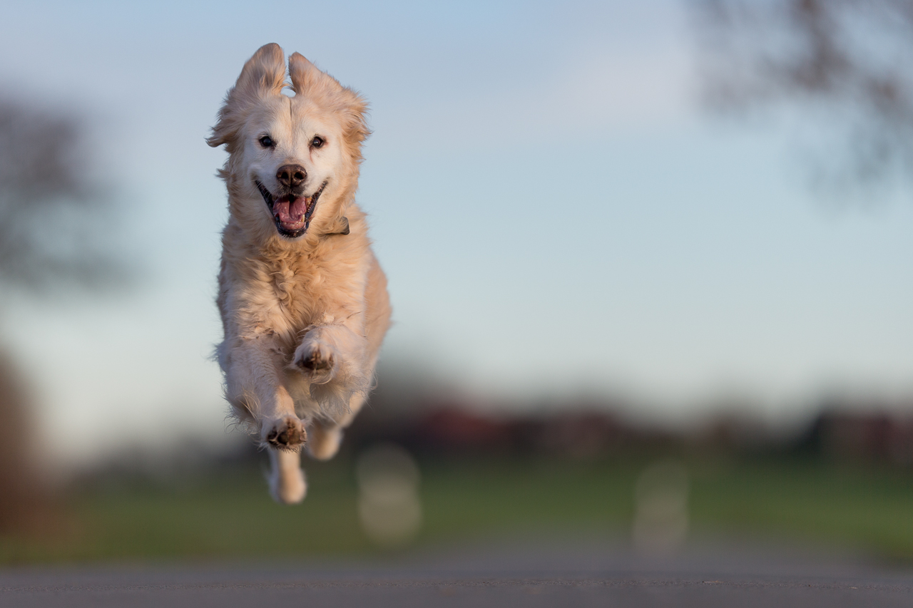 IMAGE: http://fs5.directupload.net/images/151123/ergr923l.jpg