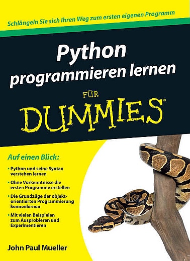 Programmieren Lernen