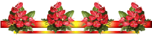 v5wn9mep.gif