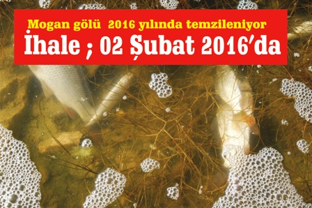crer7h6t.jpg