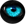Neue Beiträge