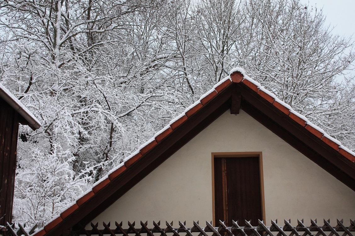 В Аргентину из снегов Сибири.