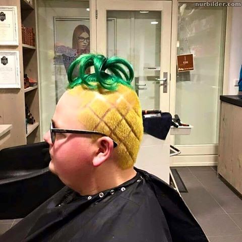 8r3p8cjt.jpg