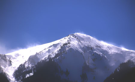 8h2ts224.jpg
