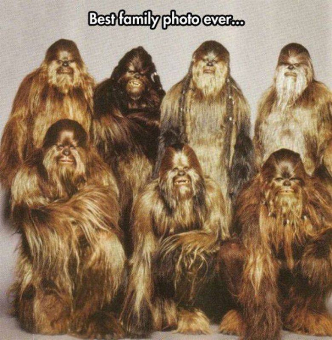or7kobjh.jpg