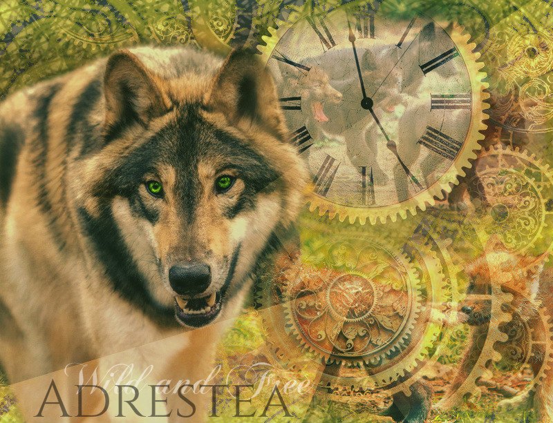 Adrestea