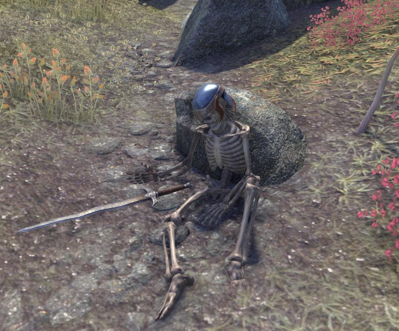 rnmzx3ih.jpg