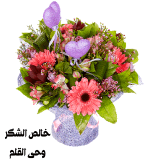 s8zi6lra.gif