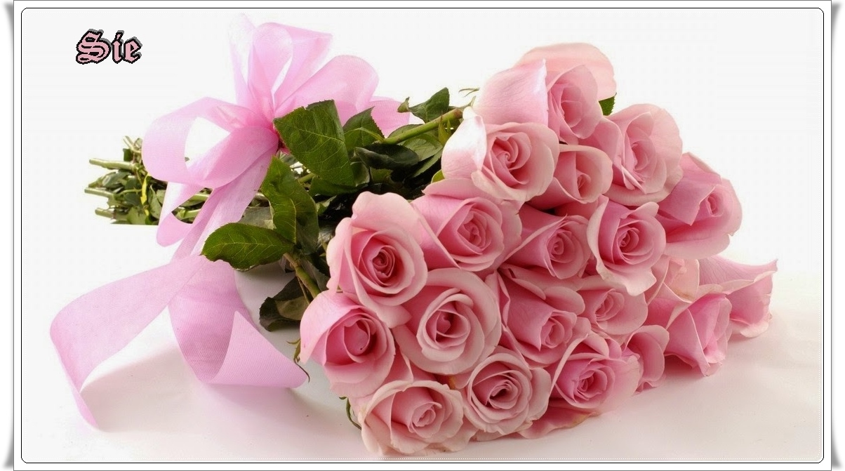 wmkbfiwc.jpg
