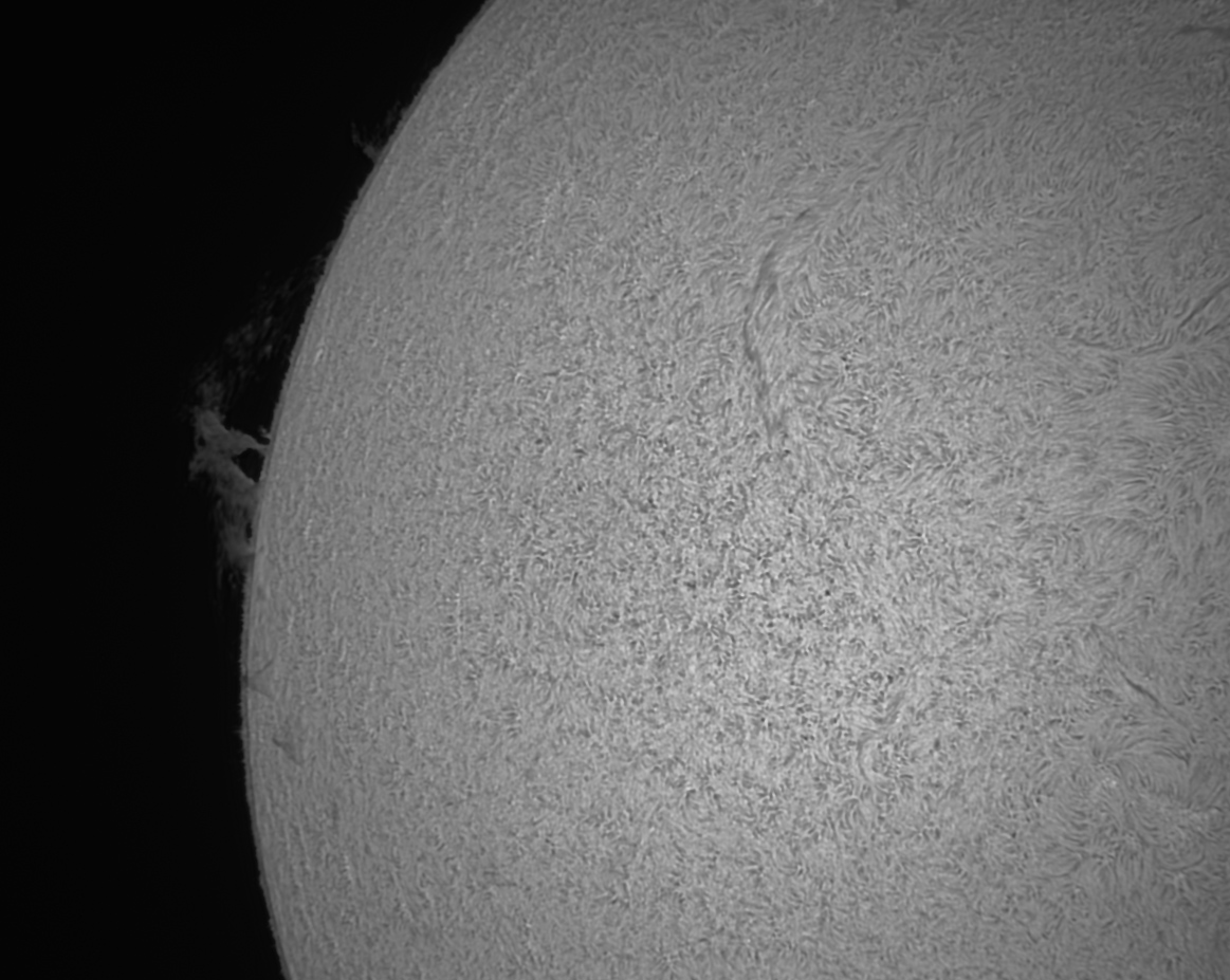 Bild