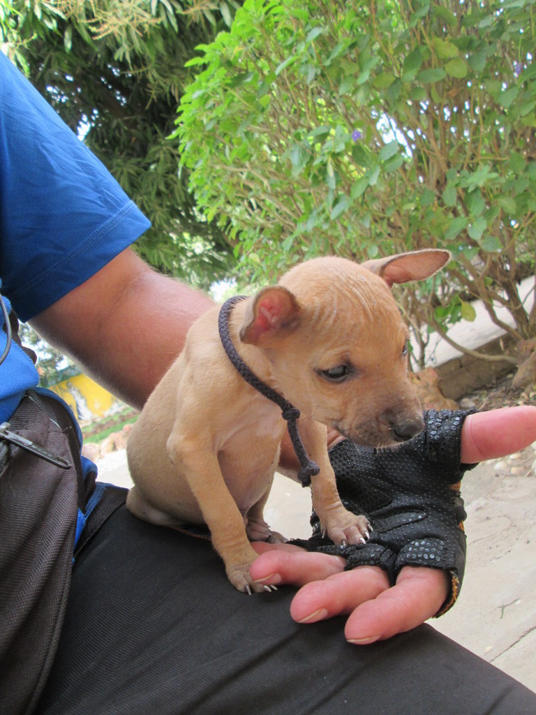 Urlaub Gambia 2016 - Seite 6 Nu7d33ud