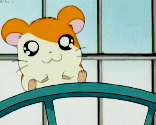 http://fs5.directupload.net/images/160306/mzk5ky2j.gif
