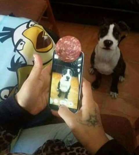 jw6tdzg5.jpg