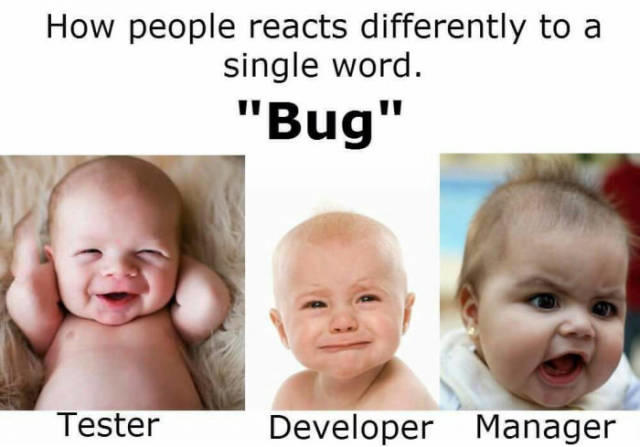 s4b8vy8g.jpg