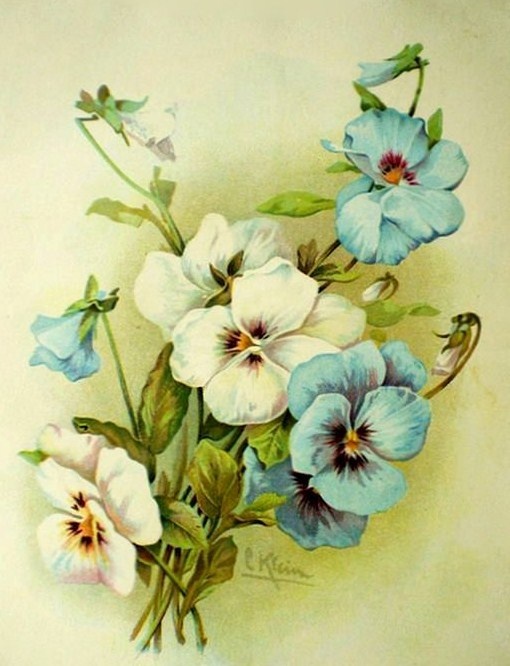 i2bq253g.jpg