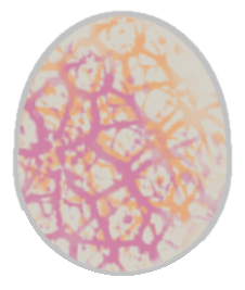 Frohe Ostern! - Seite 2 9ue53y6g