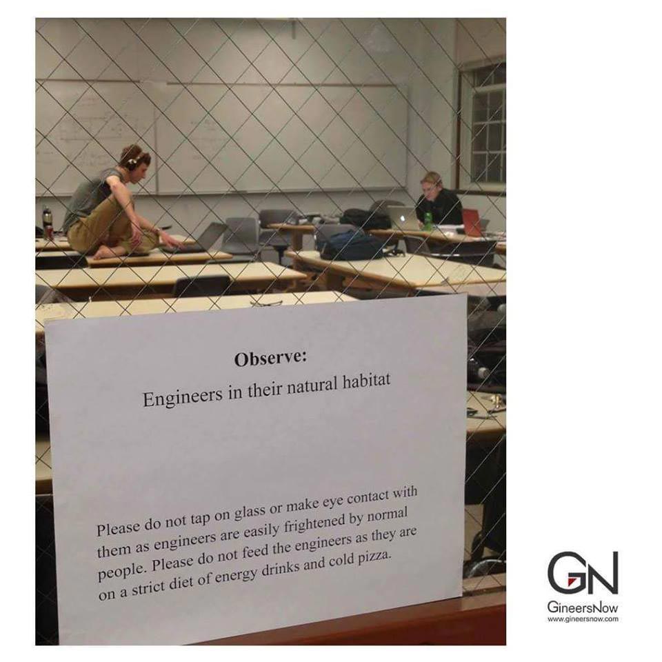 c6ssqwft.jpg