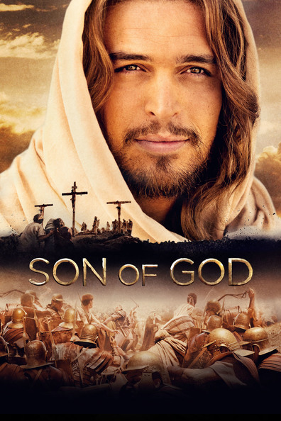 fvmssd8d.jpg