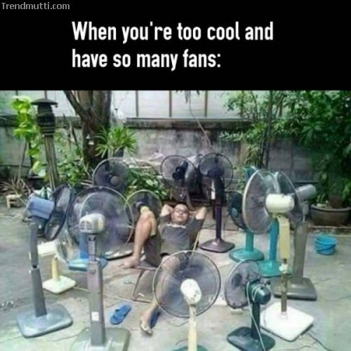 k59quimf.jpg