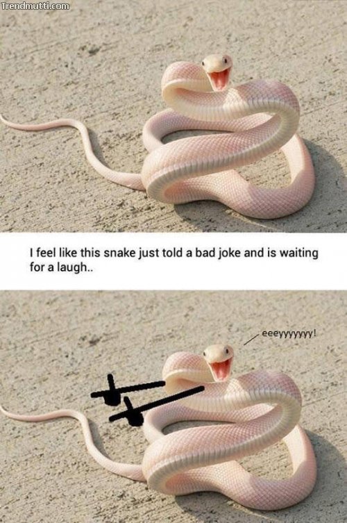 krsdrolt.jpg