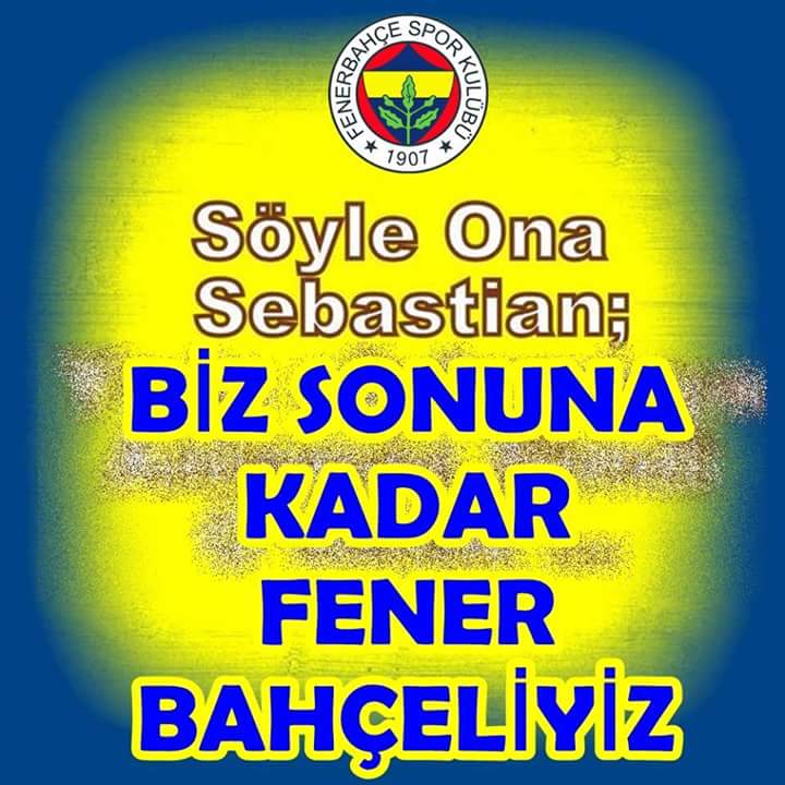 vzjel3e9.jpg