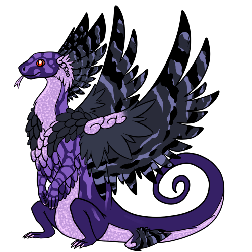 x6w84ap5.png