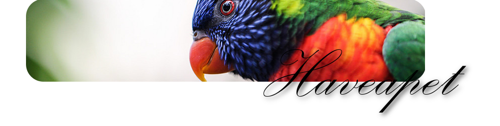 Haveapet