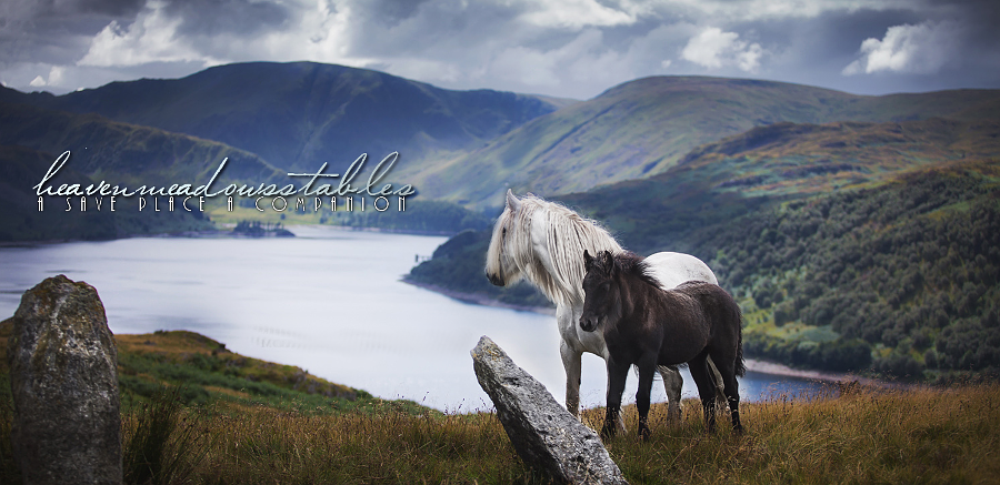 +Heaven Meadows Stable+