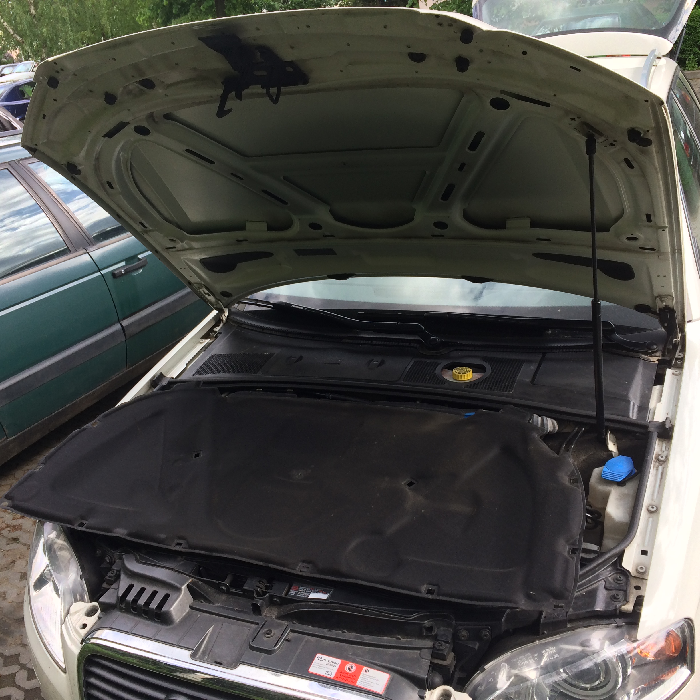 5l8wj4q3.jpg