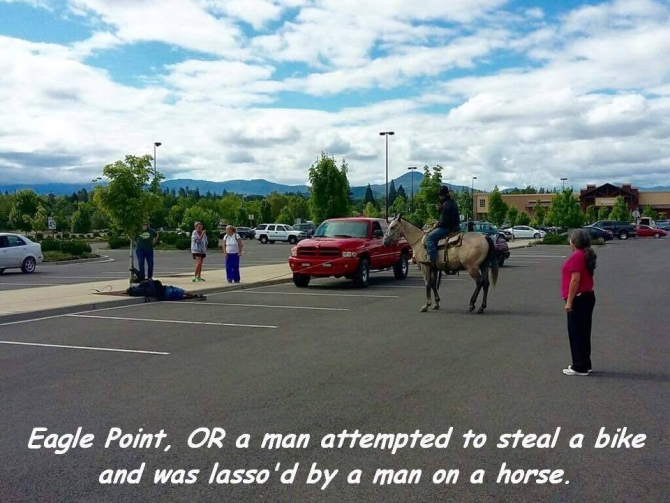 zpqbw5xn.jpg