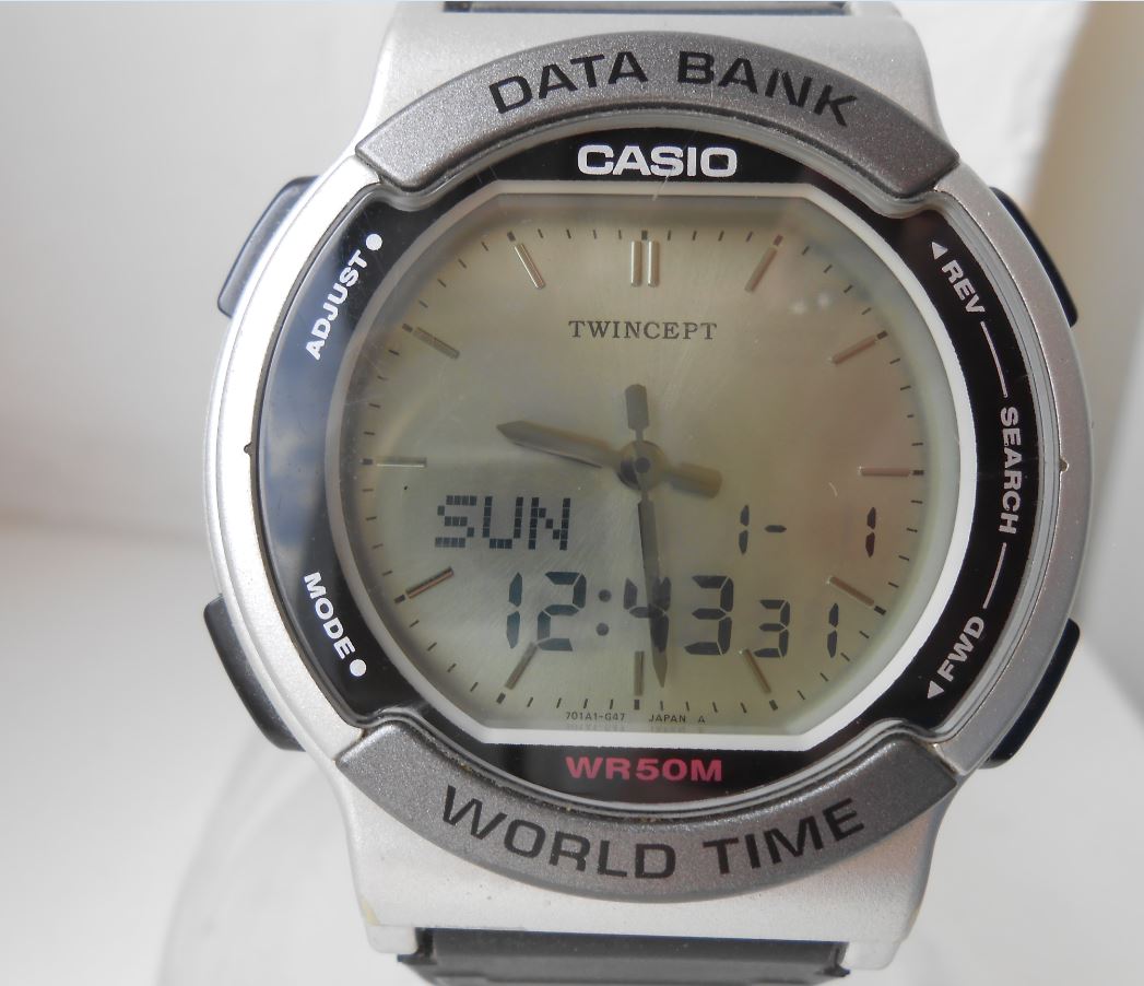 casio twincept databank