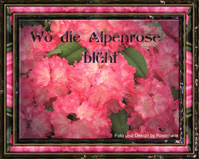 [Bild: 2b6pu4a3.gif]