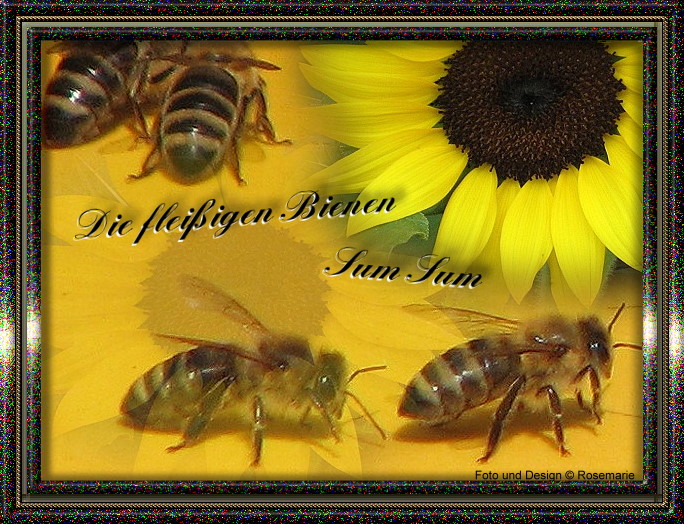 [Bild: ib3no5qz.jpg]