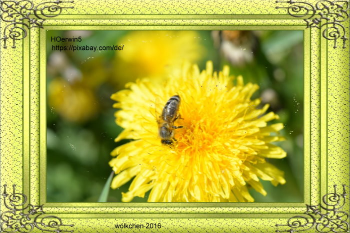 [Bild: iyb9whrq.jpg]