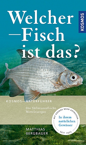 t6wnedjd.jpg
