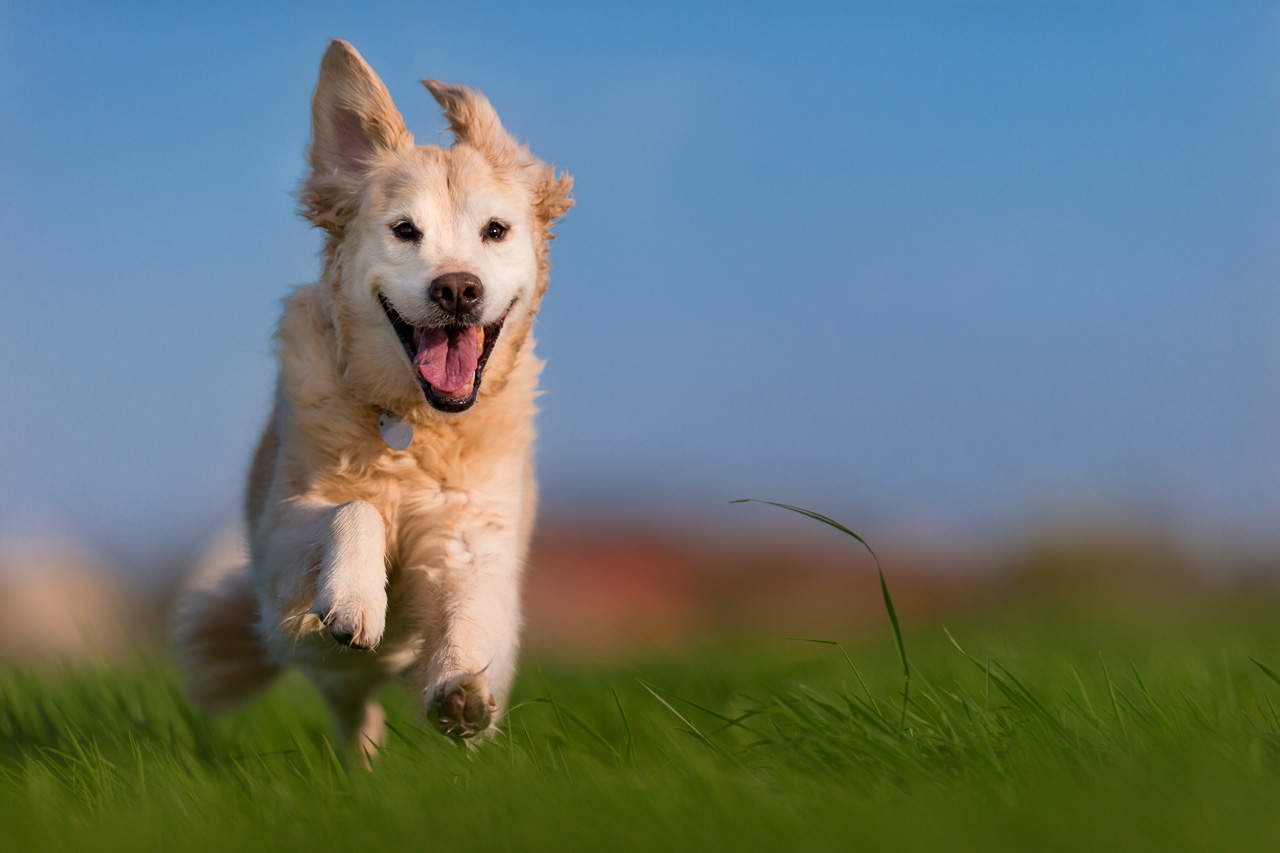 IMAGE: http://fs5.directupload.net/images/160731/n4yjpm4d.jpg