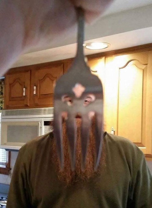 xvu6u5l3.jpg