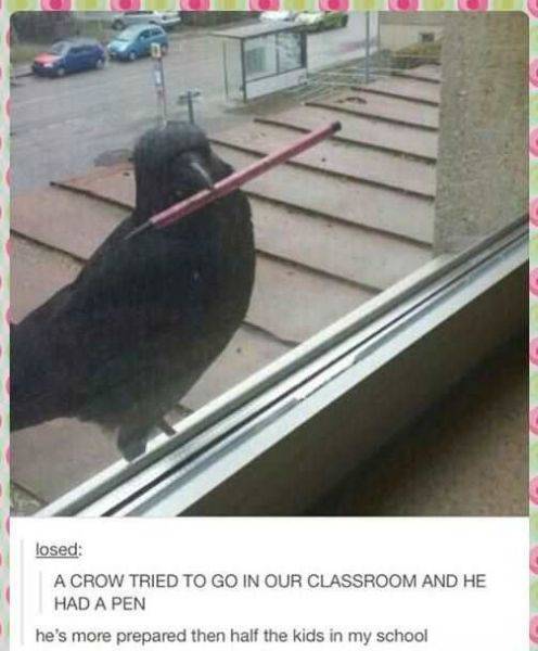yplhtt2w.jpg