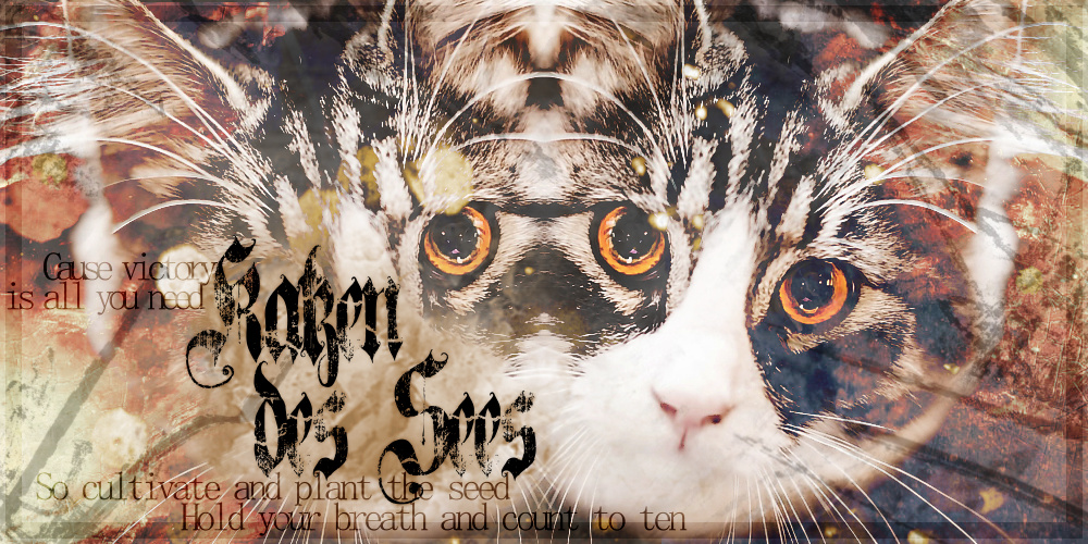 Katzen des Sees