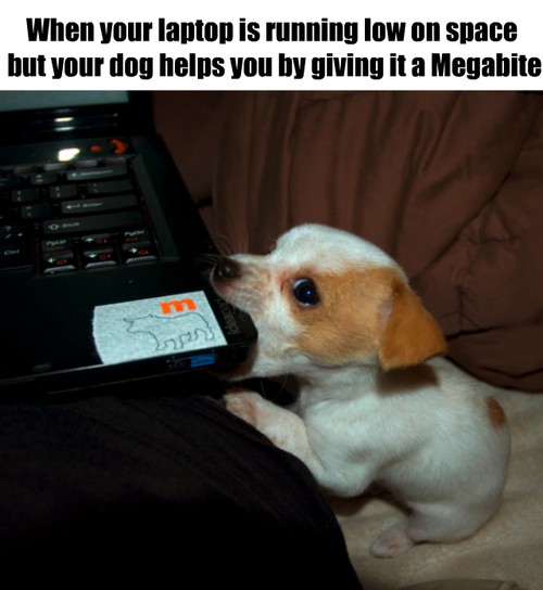 9wewypsh.jpg