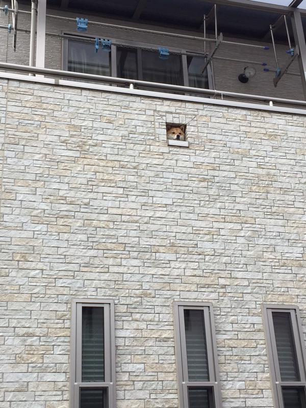 7jswcwru.jpg