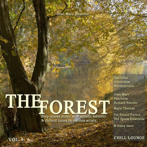 VA - The Forest Chill Lounge Vol.9: Deep Moods Music with Smooth Ambient & Chillout Tunes (2016) VA - The Forest Chill Lounge Vol.9: Deep Moods Music with Smooth Ambient & Chillout Tunes (2016)